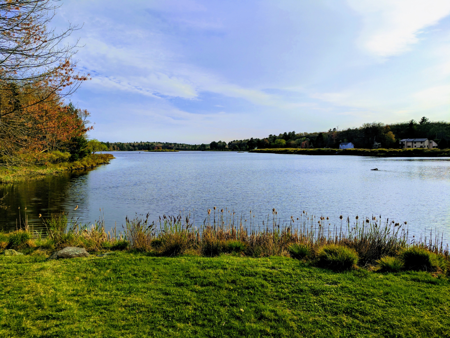Beautiful lake view at Marcel Lake Estates